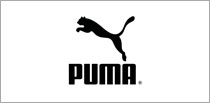 Equipos Planchado Puma